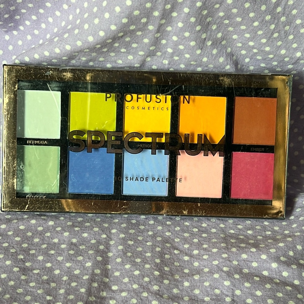 PROFUSION 10Shade Palette